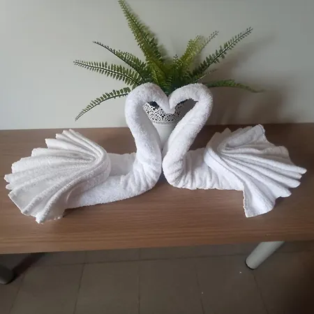 New H Marte 81 Hotell